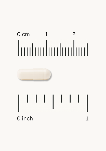 Fine Japan Vitamin C + D / 60 capsules