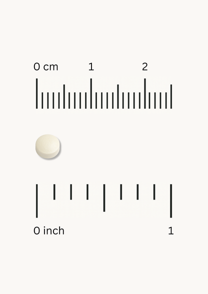Fine Japan Shark Chondroitin Extract – Shark Chondroitin / 520 tablets